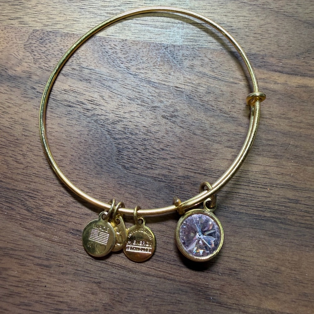 Alex and Ani Pink Gem / Gold Charm Bangle Bracelet